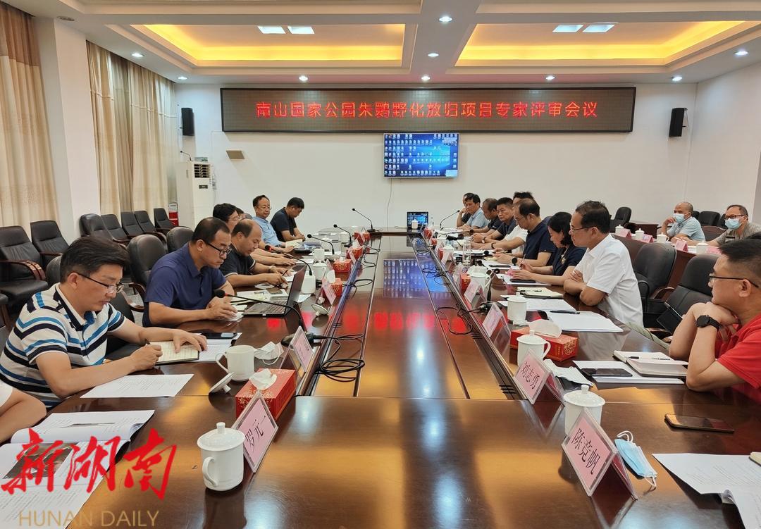 国家一级保护动物朱鹮将在崀山安新家_邵阳头条网